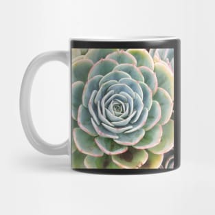 Plant print, Cactus print, Succulent, Scandinavian print, Trendy print, Styled, Pillow, Modern art, Wall art, Print, Minimalistic, Modern Mug